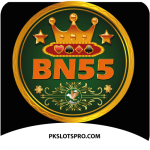 BN55 Game icon