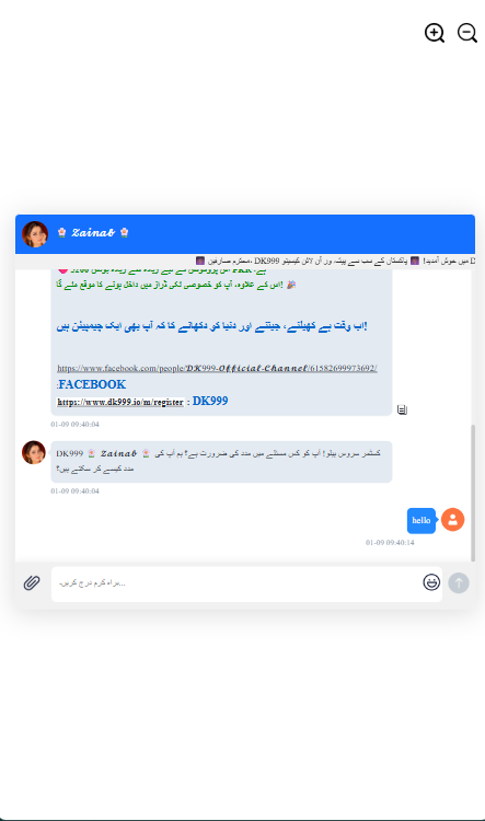A screenshot of Live customer support chat taken while audit of DK999 APP on day 6 of the 7-days audit.